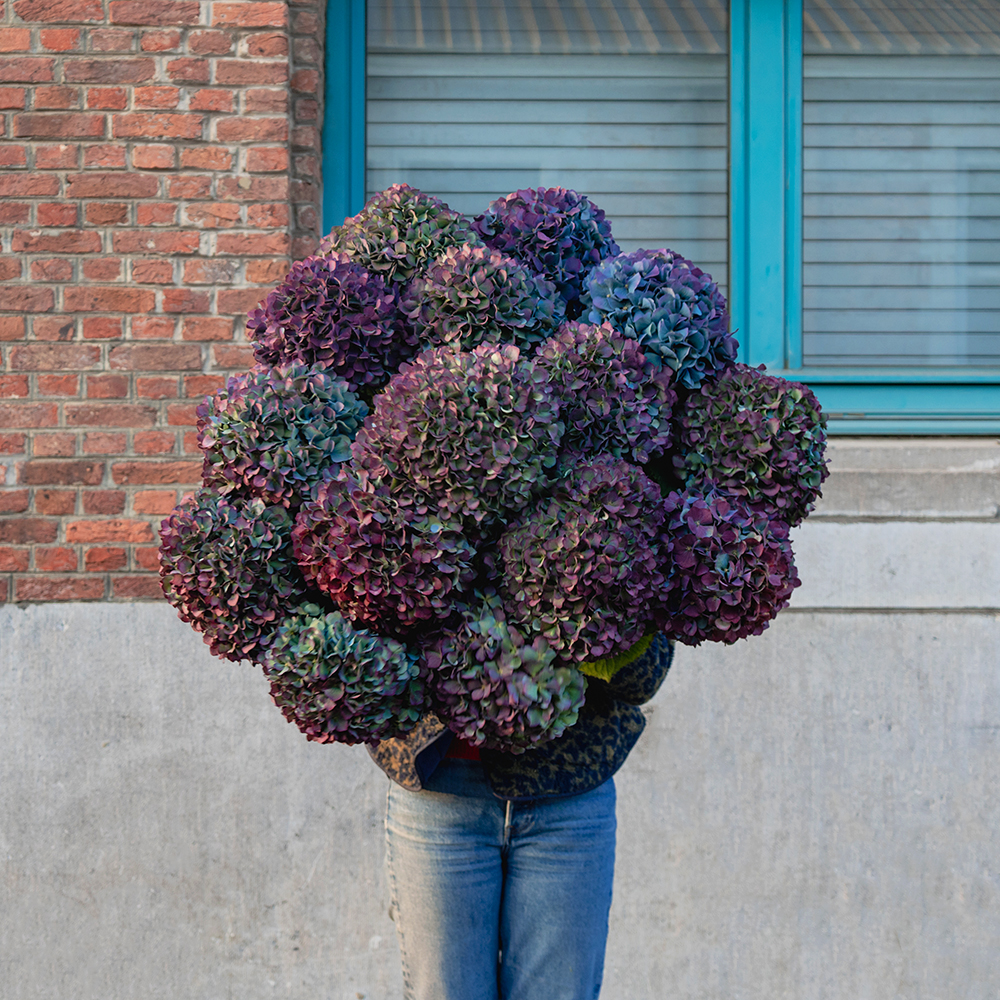 Chou et Tournesol big Round blue and purple flowers bouquet