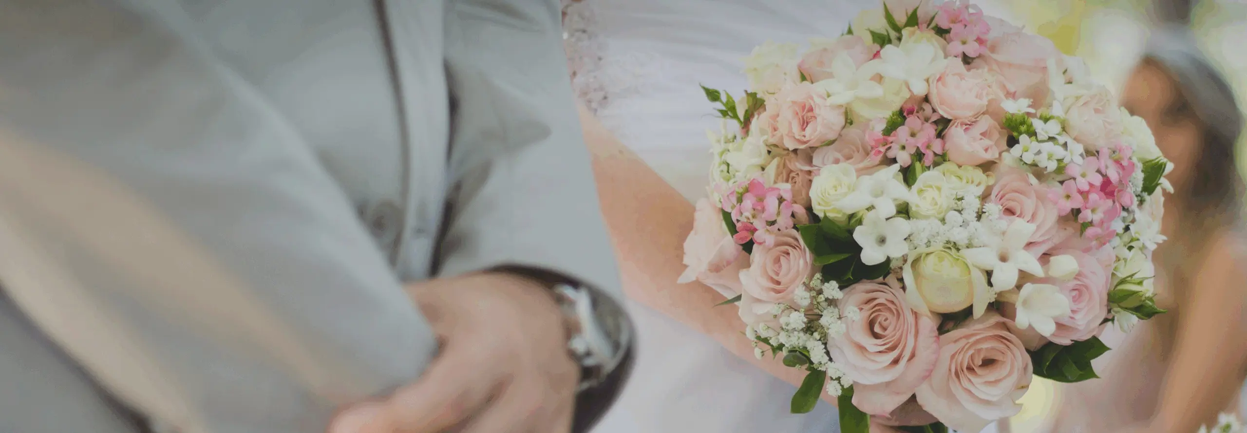 Newsroom - Chou Tournesol